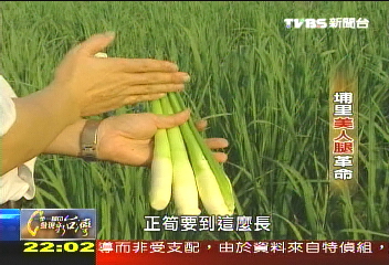 【一步一腳印】化危機為轉機 埔里美人腿革命