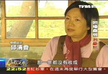 【一步一腳印】她種桑椹治憂愁 退休人生新里程