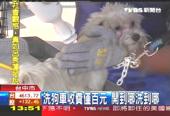 10萬元創業！　行動洗狗車半年回本