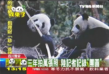 3年拍萬張照　陸記者記錄「團圓」