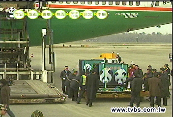 啟程來台！　團團、圓圓登上貓熊專機