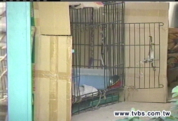 女童家家酒扮狗 頸勒傷心理受創