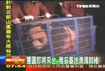 啟程來台灣　「團圓」摸黑進籠裝箱
