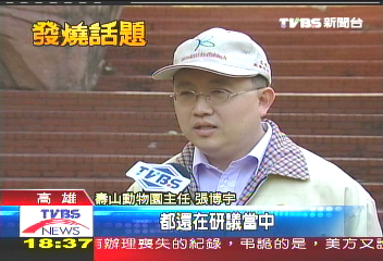 北貓熊南白虎 明年6月將進駐壽山