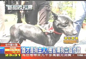誰才是狗主人？　檢官傳狗出庭作證
