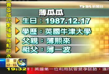 神秘不再 陸新「太子黨」冒出頭