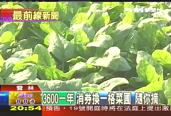 花3600消費券 青菜任你吃一年