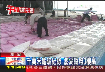 千萬米龜破紀錄 澎湖縣堆3樓高