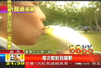 愛鳥成癡 牽鳥出門到踏青曬太陽