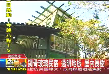 鋼骨玻璃民宿　透明地板、屋內長樹