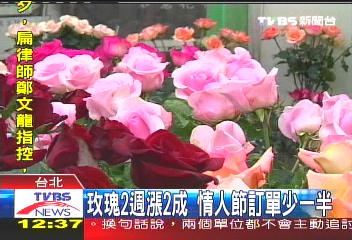 玫瑰2週漲2成 情人節訂單少一半