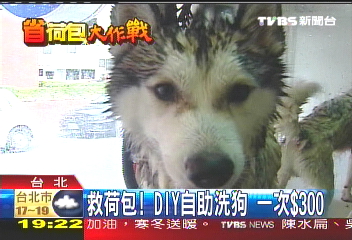 救荷包！DIY自助洗狗　一次300