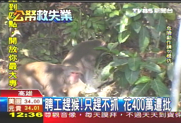 驅趕獼猴花400萬 遊客:浪費公帑