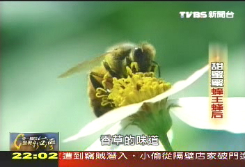 甜蜜蜜蜂王、蜂后,分工推廣好蜜,業者?