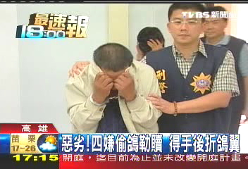 惡劣!4嫌偷鴿勒贖 得手後折鴿翼