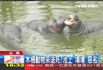 送來就死？　池上被稱「動物墳場」