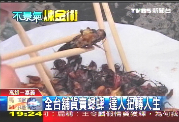 全台舖貨賣蟋蟀 達人扭轉人生