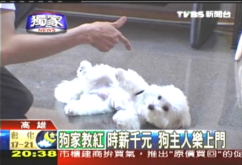 狗狗家教!時薪千元 狗主人樂上門