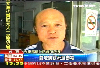 綠島不容貓狗? 家犬都被毒死