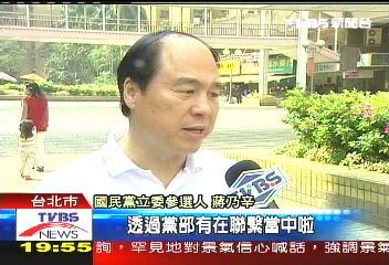 搶救蔣乃辛？　馬總統暫無站台規劃