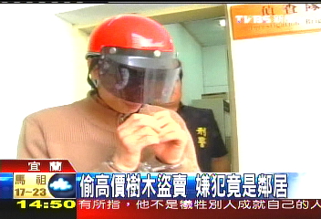 偷高價樹木盜賣 主嫌竟是鄰居