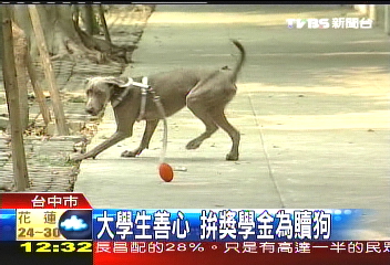 大學生善心　拚獎學金為贖狗