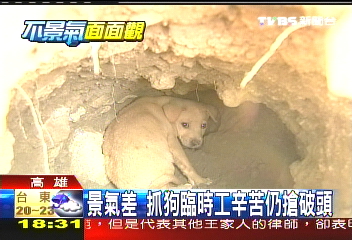 「昔開車今抓狗」　短期就業日薪8百