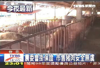 嘉義又傳口蹄疫 撲殺291隻豬