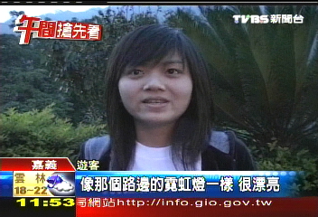 螢火蟲阿里山飛舞 似繁星引驚呼