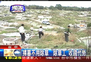 〈獨家〉改做墓地除草　清明節前萬進帳