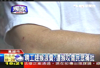 〈獨家〉聘工趕猴浪費？　遭猴咬傷民眾痛批