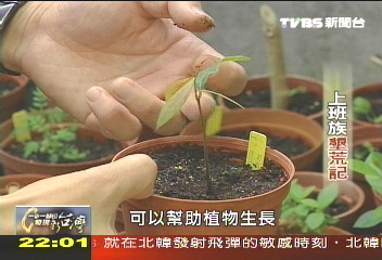 【一步一腳印】上班族墾荒記　堅持不變的綠地夢