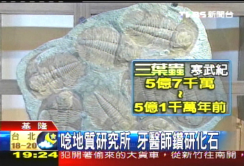 愛化石成痴　牙醫擬蓋博物館分享
