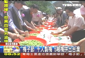 「梅子節」千人製梅 5噸梅拚出台灣