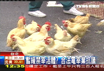 暫緩禁宰活體? 合法電宰業抗議