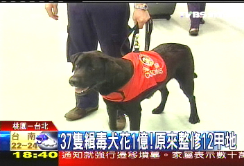 37隻緝毒犬花1億！　原來整修12甲地