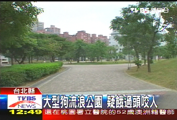 流浪犬現蹤公園　母親護女反被咬