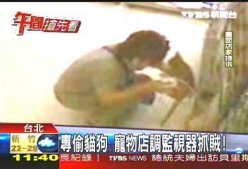 專偷貓狗 寵物店調監視器抓賊!