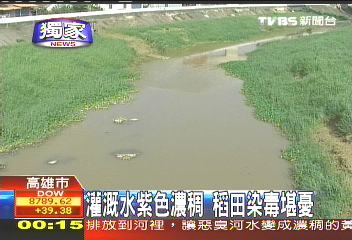 〈獨家〉灌溉水紫色濃稠 稻田染毒堪憂