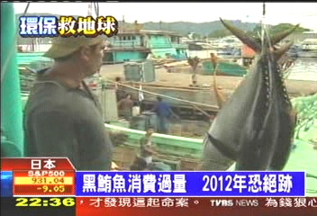 黑鮪魚消費過量 2012年恐絕跡