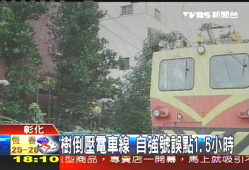 樹倒壓電車線 自強號誤點1.5小時
