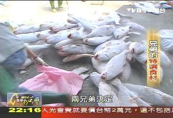 【一步一腳印】第一手生鮮美味 兄弟的特選食材