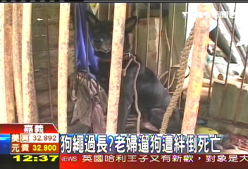 狗繩過長？　老婦遛狗遭絆倒死亡