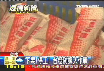 下架！停工！　台糖防蟑大作戰