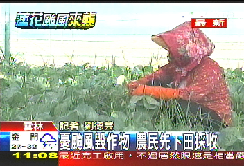 蓮花颱風/防颱搶收蔬果 預期心理微漲2元