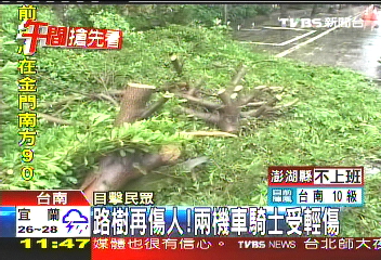 蓮花颱風/路樹再傷人! 2機車騎士受輕傷