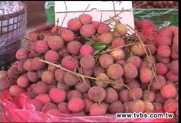 荔枝量產價格慘　批價1斤才10元