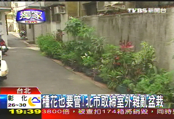 網球／溫網嘶吼聲不斷　波娃比巴士還吵