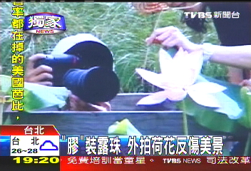 〈獨家〉「膠」裝露珠 外拍荷花反傷美景