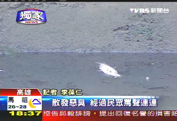 〈獨家〉世運在即!愛河飄惡臭 民眾掩鼻過